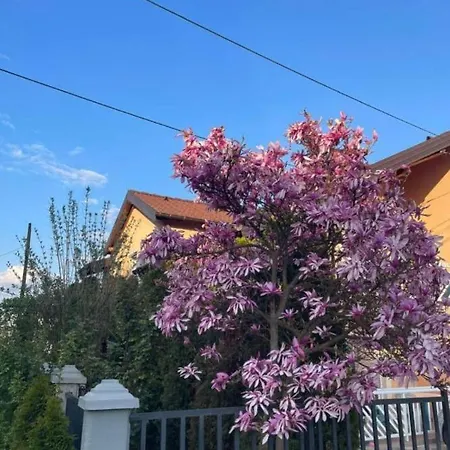 Apartman Sarajevo Dvokrevetni-Dvije Osobe Exterior photo