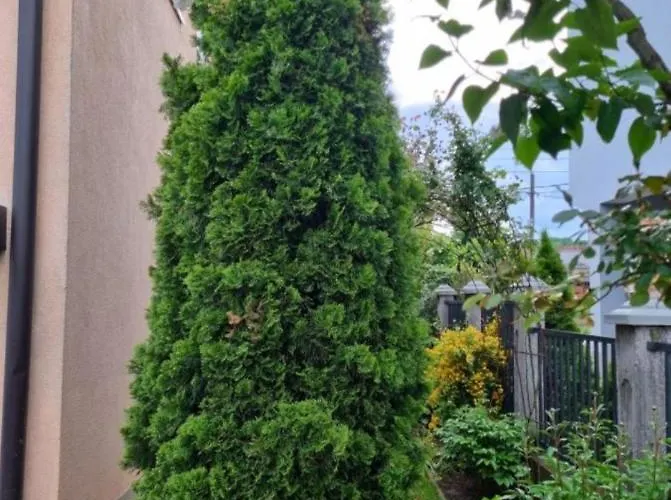 Apartman Sarajevo Dvokrevetni-Dvije Osobe