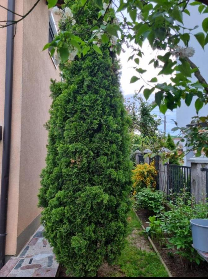 Appartement Dvokrevetni-dvije Osobe Sarajevo